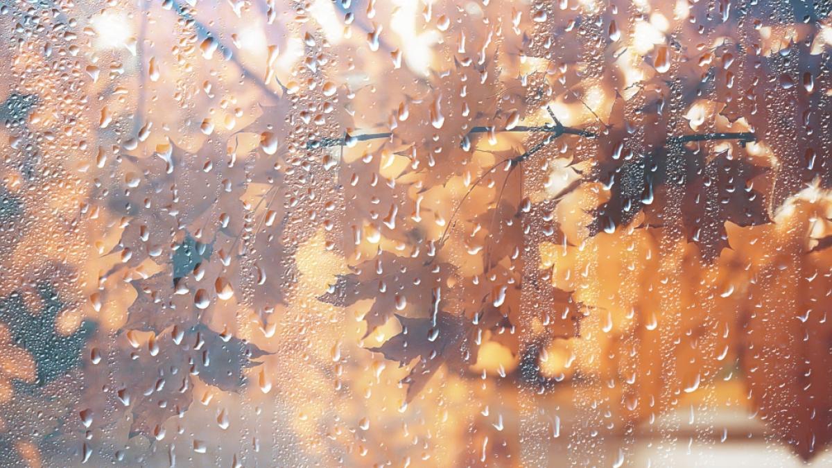 Am Wochenende droht Deutschland ungem&uuml;tliches Herbstwetter. (Foto)