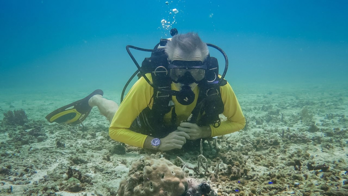 Hannes Jaenicke: Im Einsatz f&uuml;r den Oktopus bei ZDF (Foto)