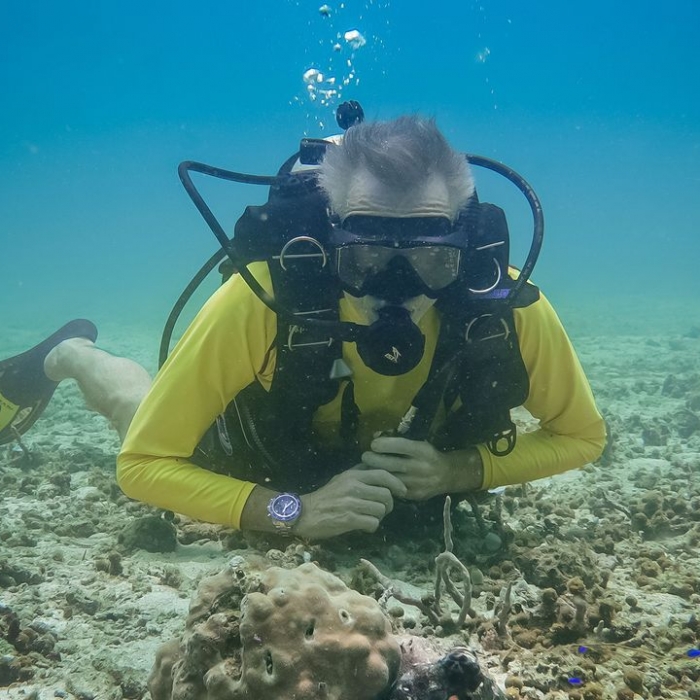Wiederholung der Tierreihe im TV und online