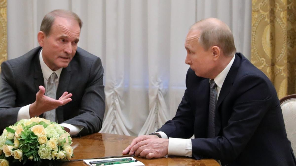 Viktor Medwedtschuk bei einem Treffen mit Wladimir Putin. (Foto)