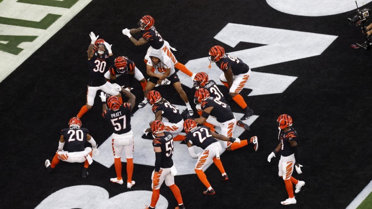 Die Bengals feiern am 13.02.2022. (Symbolbild) (Foto)