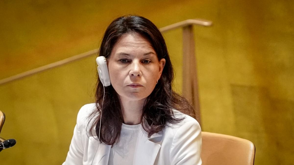 Die Kritik an Annalena Baerbock rei&szlig;t nicht ab. (Foto)