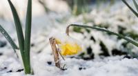 Laut Meteorologen droht Deutschland zum Wochenende äußerst ungemütliches Wetter.