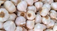 Wer zu viel Knoblauch isst, riskiert Vergiftungserscheinungen.