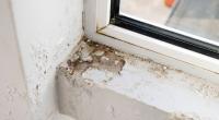 Abgeplatzter Putz und Schimmel an einem Fenster: Zeit zu handeln!