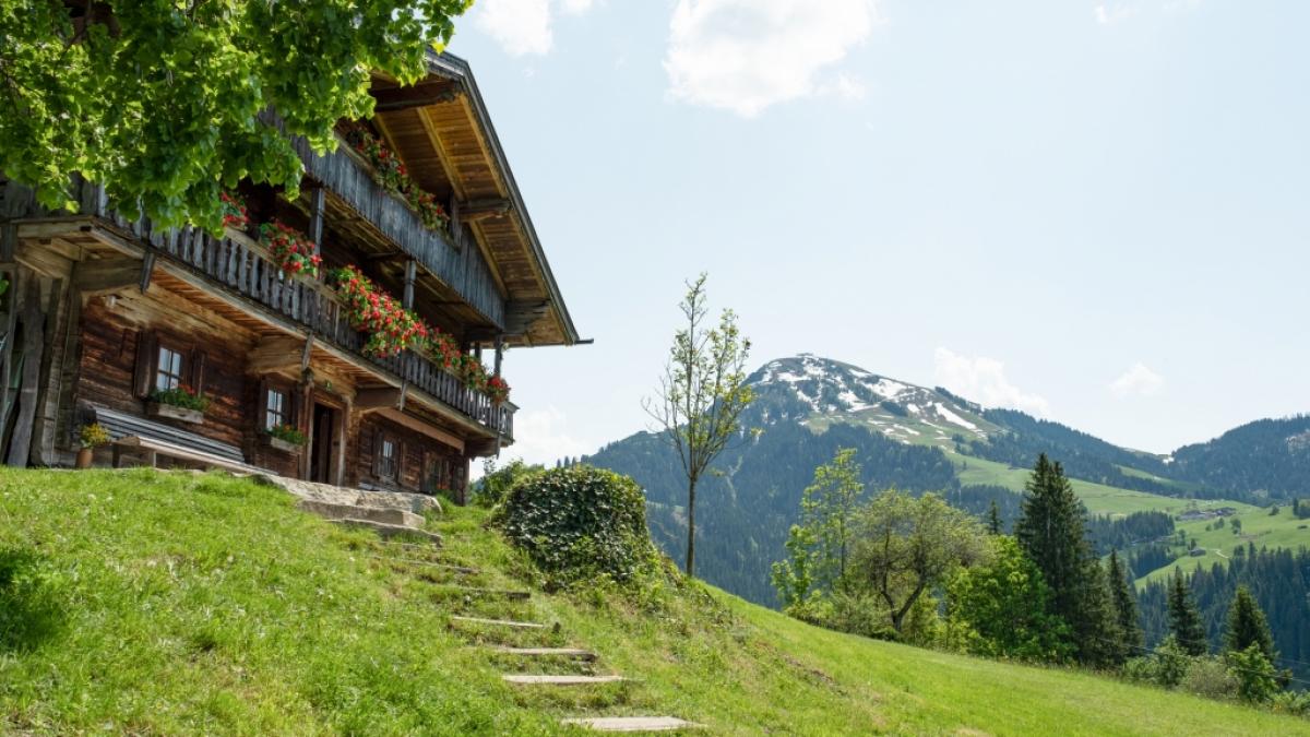 Den Gruberhof gibt es schon seit 400 Jahren. (Foto)