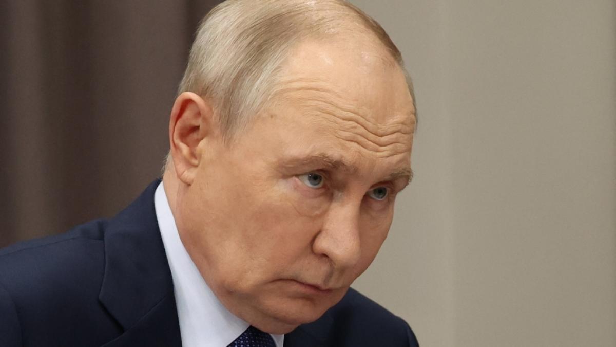 Sicherheitsbeamte haben ein geheimes Waffendepot in einem Berliner Waldst&uuml;ck entdeckt. Laut Verfassungsschutz soll Wladimir Putin damit in Verbindung stehen. (Foto)