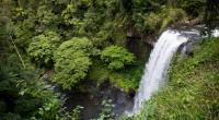 Eine Frau stürzte in Cairns einen Wasserfall hinab.