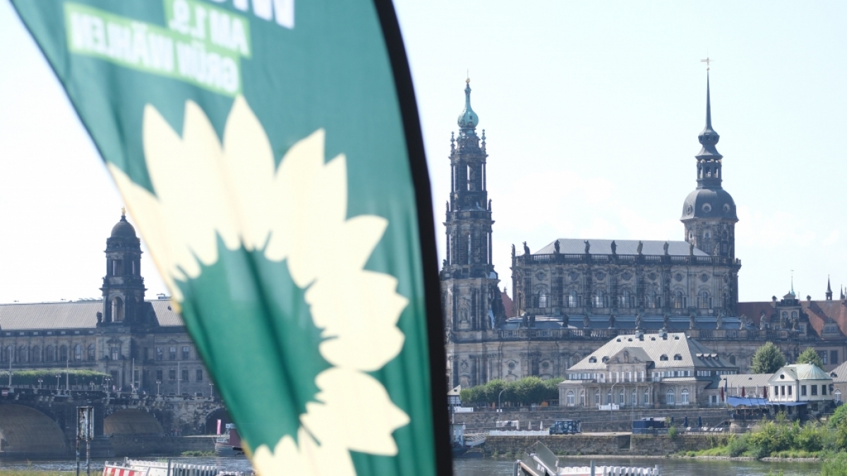 Die Gr&uuml;nen erhielten eine Gro&szlig;spende &uuml;ber 35.000 Euro (Symbolbild). (Foto)