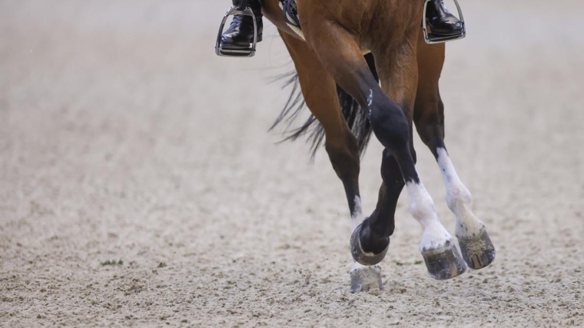 Dressur-Reiter Juan Matute Guimon aus Spanien, hier mit Quantico im Fei Dressage World Cup Final 2022, trauert nach dem CHIO 2025 um sein t&ouml;dlich verungl&uuml;cktes Pferd. (Foto)