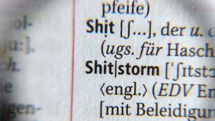 Der gemeine Shitstorm tobt sogar in Wörterbüchern!