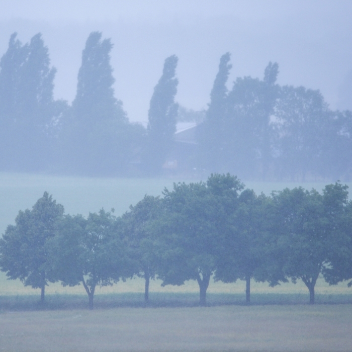 Vorpommern-Rügen - Wetterdienst warnt vor Nebel am Sonntag den 27.09.2026