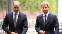 Prinz William hat ein Wiedersehen mit seinem Bruder, Prinz Harry, ausgeschlossen.