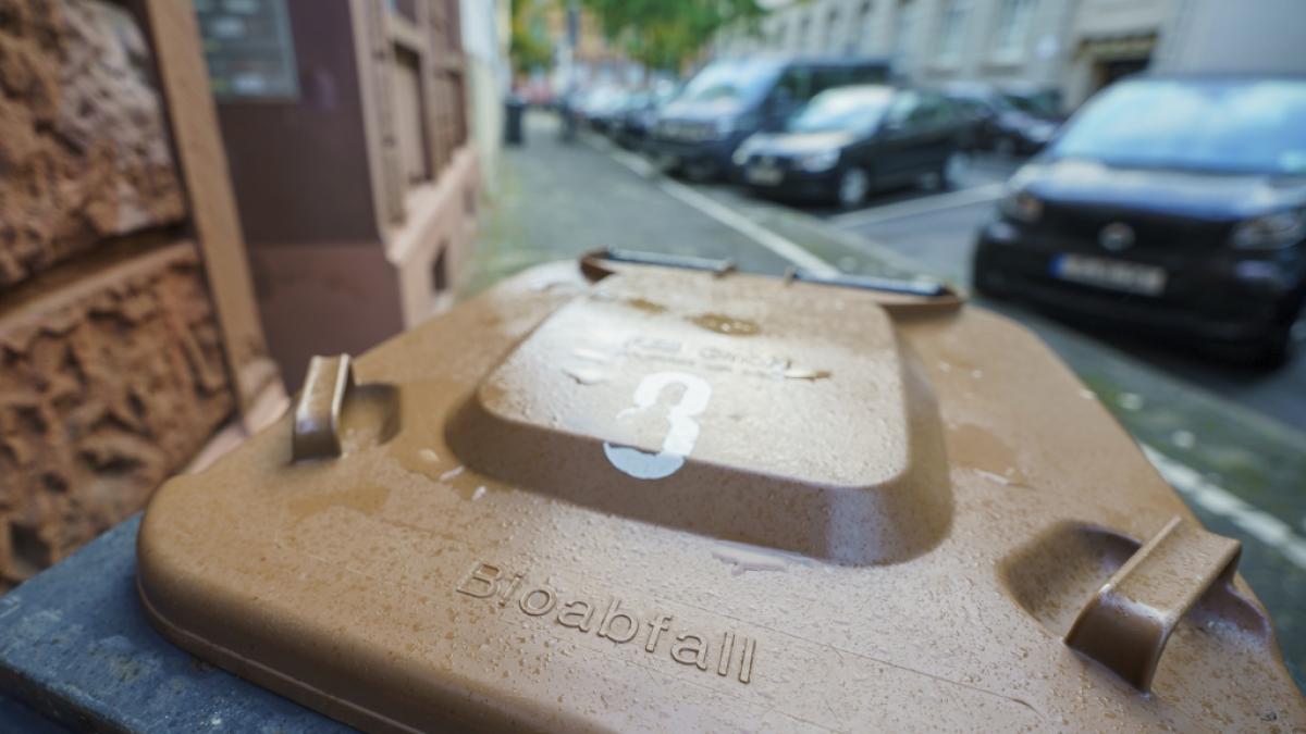Ab heute m&uuml;ssen Verbraucher besonders darauf achten, ihren Biom&uuml;ll korrekt zu trennen. (Foto)
