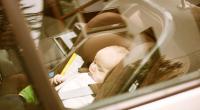 In Rotterdam ist am Montag ein Baby in einem überhitzten Fahrzeug gestorben. Die Hilfe der Rettungskräfte kam zu spät. (Symbolbild)