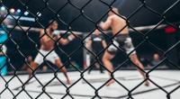Wer verlässt das Octagon bei UFC 295 als Sieger?