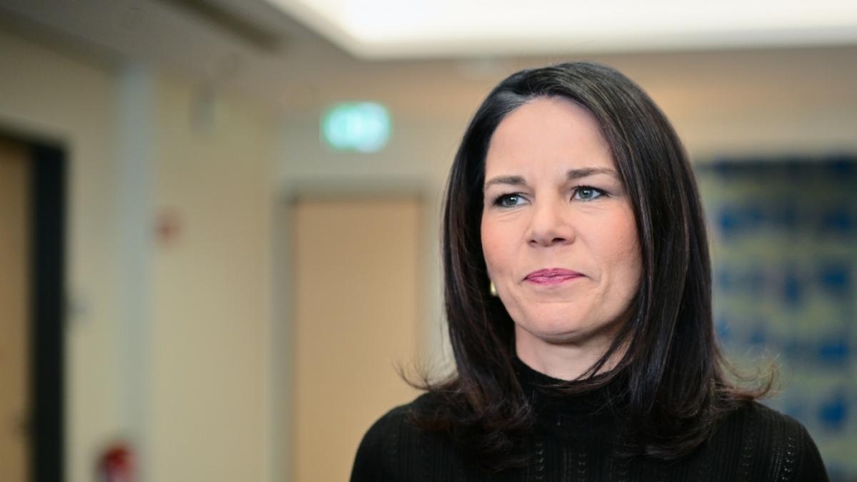 Annalena Baerbock nahm auf Instagram Abschied. (Foto)
