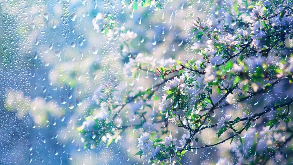 Wie soll das Wetter im April 2024 werden? (Foto)