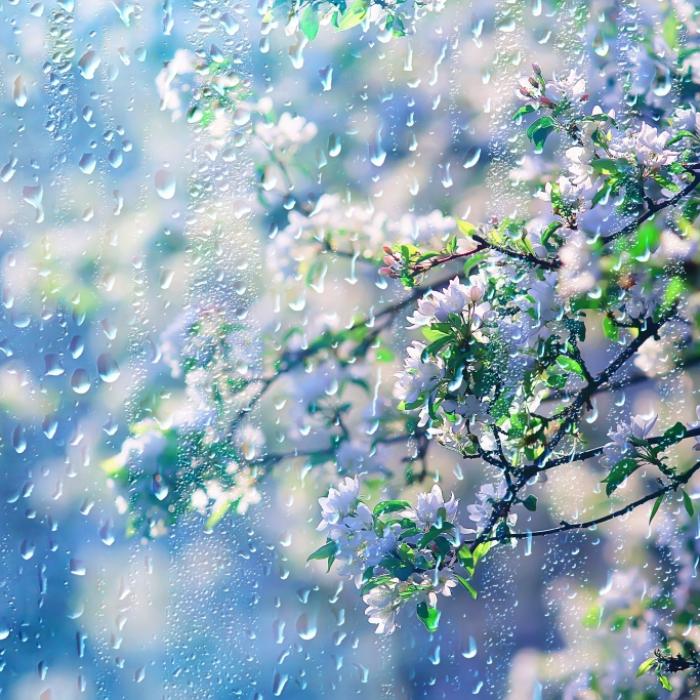 Verspäteter Wintereinbruch oder Frühsommer? Das prophezeien Meteorologen 