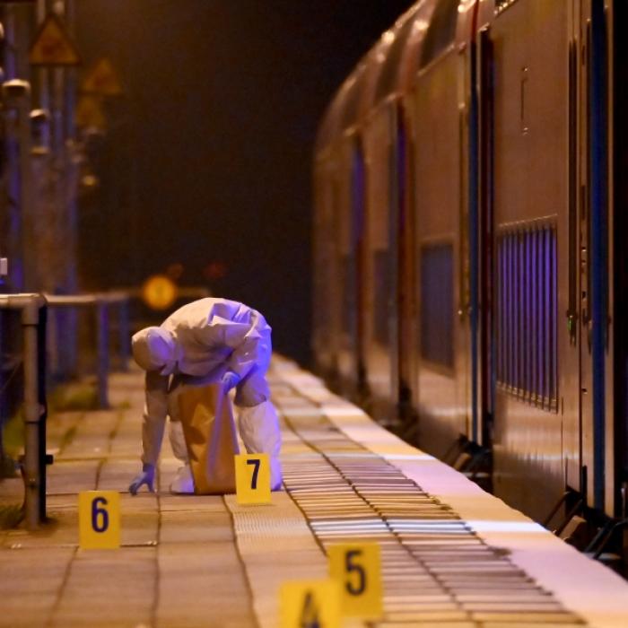 Zwei Tote in Regionalzug nach Hamburg! Sind zu wenig Polizisten an Bahnhöfen?