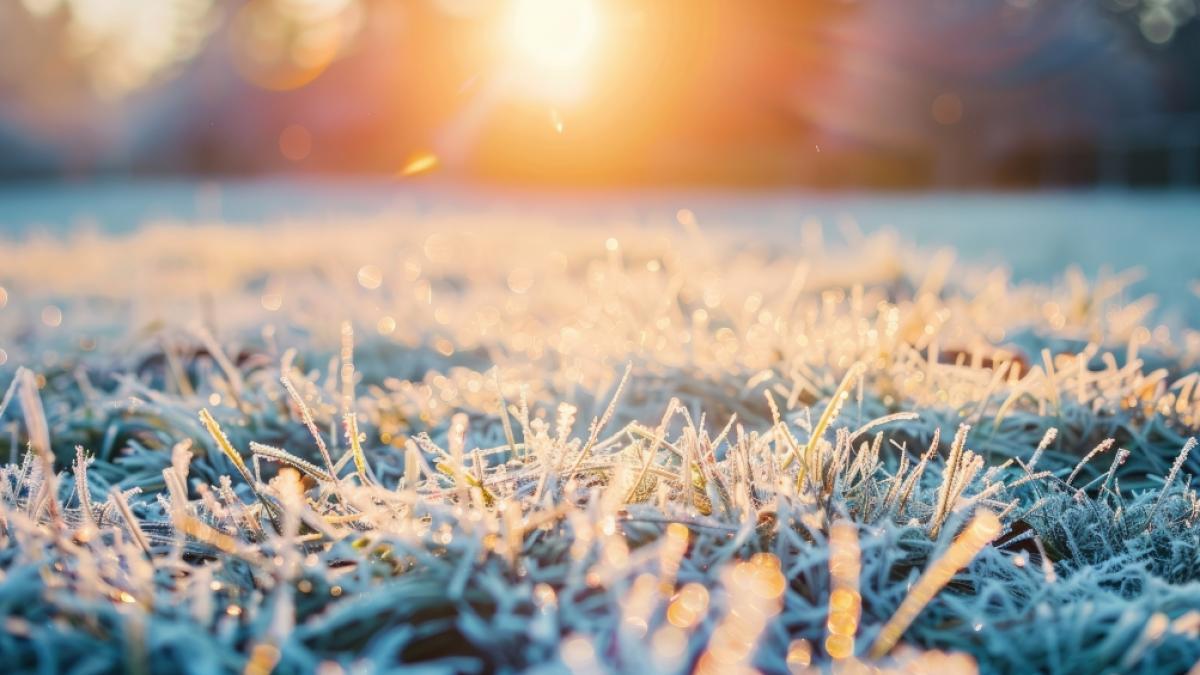 Einige Regionen m&uuml;ssen sich in der n&auml;chsten Woche auf n&auml;chtlichen Bodenfrost einstellen. (Foto)