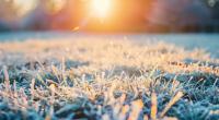 Einige Regionen müssen sich in der nächsten Woche auf nächtlichen Bodenfrost einstellen.