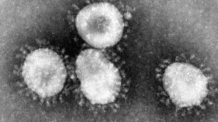 Das undatierte Handout des amerikanischen Centers for Disease Control (CDC) zeigt einen Coronavirus unter dem Mikroskop.