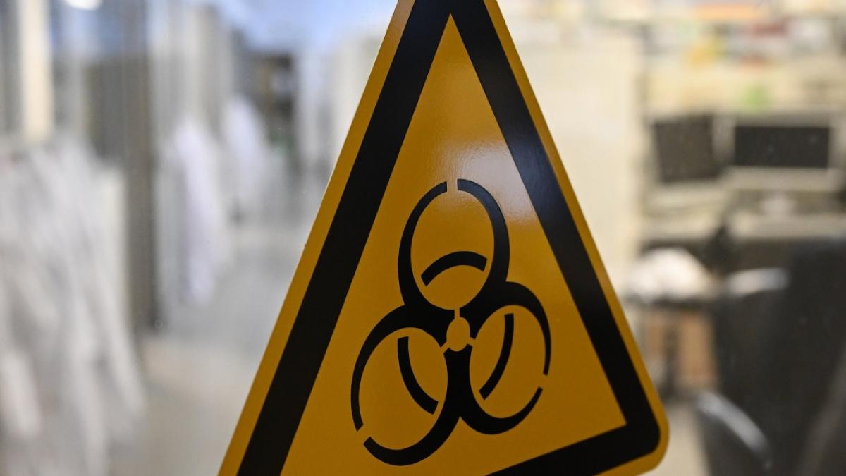 Nach dem Tod einer Laborantin in Sibirien kam der Verdacht auf, dass sie an der Lungenpest gestorben ist (Symbolfoto). (Foto)