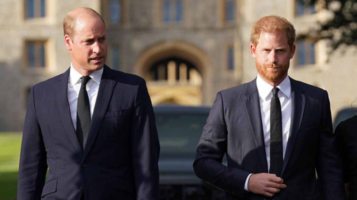 Ein Wink des Schicksals k&ouml;nnte die seit Jahren zerstrittenen Prinzen William und Harry schon bald wieder zusammenf&uuml;hren. (Foto)