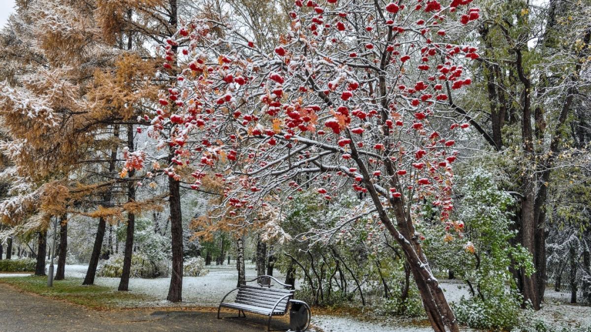 Meteorologen geben Prognose f&uuml;r das Wetter im Herbst und Winter. (Foto)