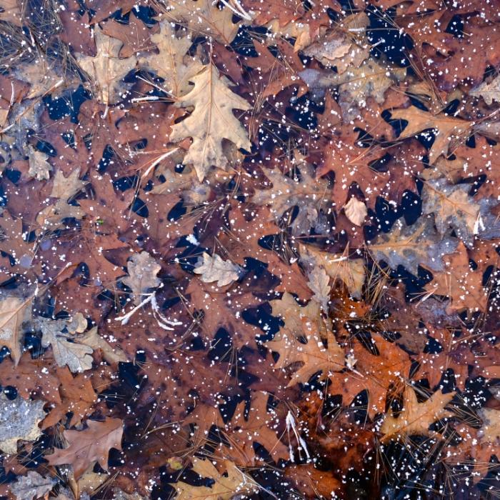 Frost nach Altweibersommer! DWD warnt vor Temperatursturz