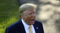 Donald Trump: Will Schauspielerin Staatsbürgerschaft entziehen. 