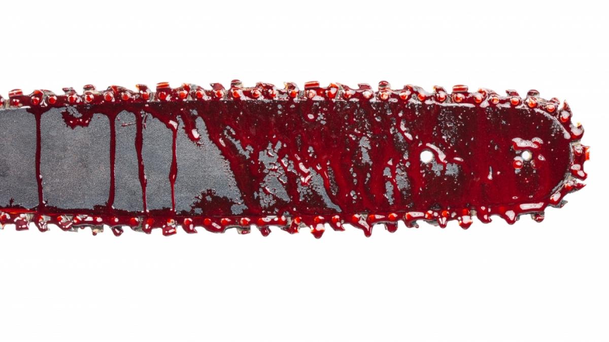 In Serbien ist ein 42-j&auml;hriger Mann bet&auml;ubt, erstochen und mit einer Kettens&auml;ge zerst&uuml;ckelt worden - offenbar von seiner eigenen Ehefrau (Symbolbild). (Foto)