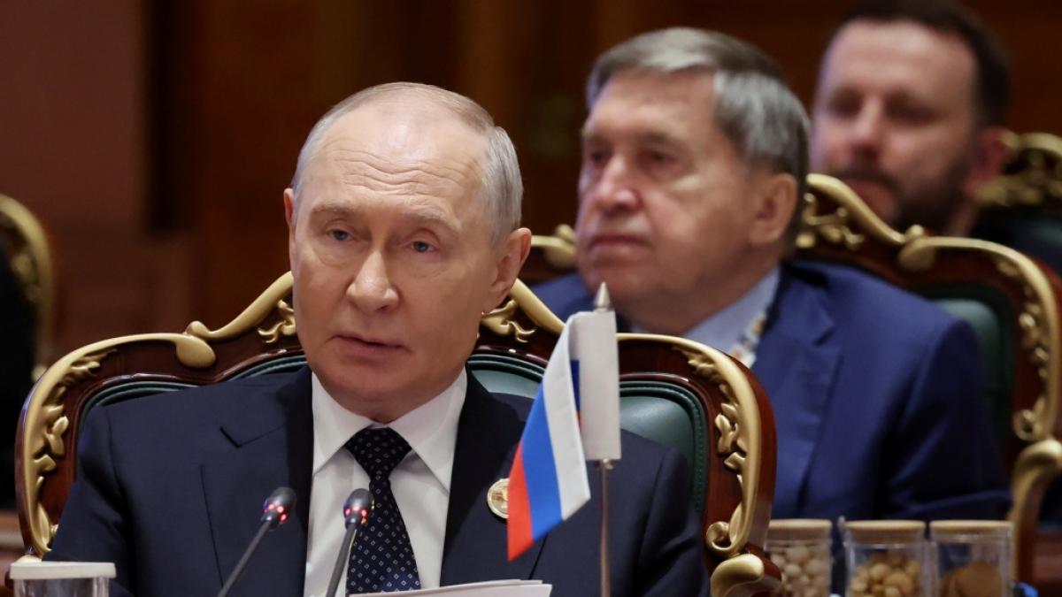 Wladimir Putin: AfD-Erfolg in Deutschland als Folge westlicher Fehler &ndash; Kremlchef versch&auml;rft Ton (Foto)