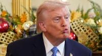 Für Donald Trump geht es bei einer ganz bestimmten Zielgruppe in den Umfragen wieder aufwärts.