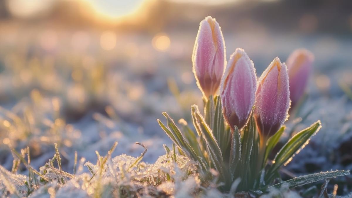 Polarluft l&auml;sst die Temperaturen am Wochenende wieder abst&uuml;rzen. (Foto)