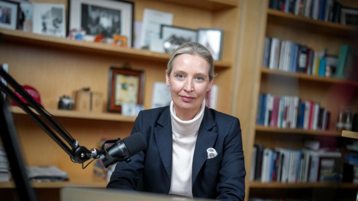 AfD-Kanzlerkandidatin Alice Weidel sitzt vor dem Live-Talk mit dem US-Milliard&auml;r Elon Musk auf der Plattform X an Mikrofonen und einem Laptop in ihrem B&uuml;ro des Jakob-Kaiser-Hauses. (Foto)