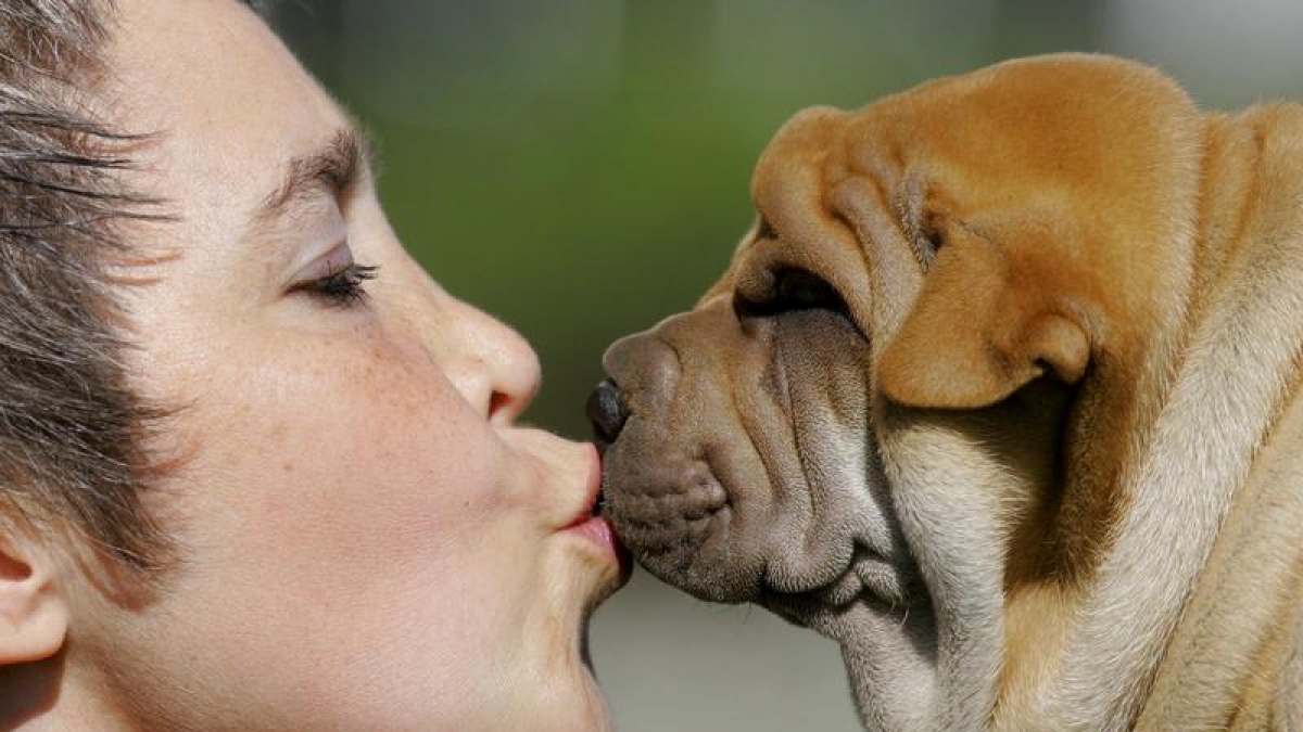 Der Hund ist des Menschen bester Freund - und das ist auch gut so. Knuddeln ist erlaubt. Alles, was darüber hinaus geht, mutet krank an. So zum Beispiel, wenn in den USA ein Mann sein Pferd heiratet und mit ihm schläft. (Foto)