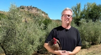 Olivenbauer und Kleinviehzüchter Karl-Heinz aus Italien.