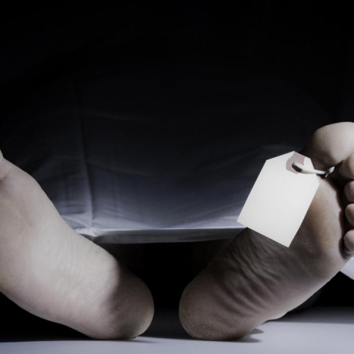 Junge stirbt an Beulenpest! Kehrt der Schwarze Tod zurück?