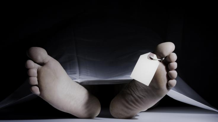 Junge (15) ist in der Mongolei an der Pest gestorben. (Symbolfoto)