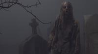 Die Gruppe um Daryl und Co. lernt die Whisperer kennen.