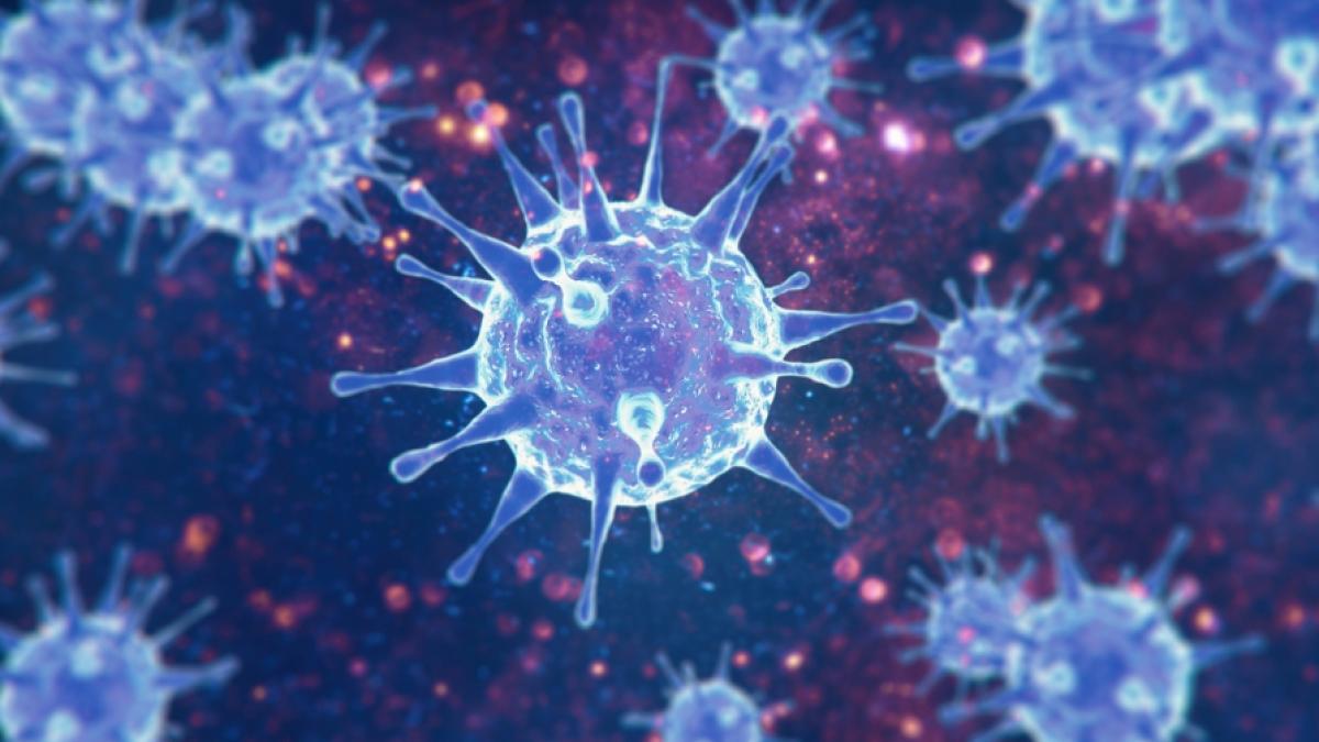 Die sich auch in Deutschland ausbreitende Coronavirus-Sublinie "Arcturus" gibt Virus-Experten Grund zur Sorge (Symbolbild). (Foto)