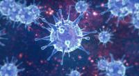 Die sich auch in Deutschland ausbreitende Coronavirus-Sublinie 