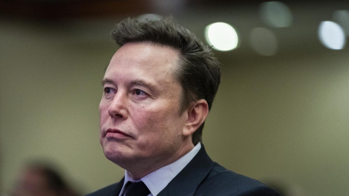 Elon Musk gratuliert der AfD in Sachsen-Anhalt zum Wahlsieg nach der Landtagswahl. (Foto)