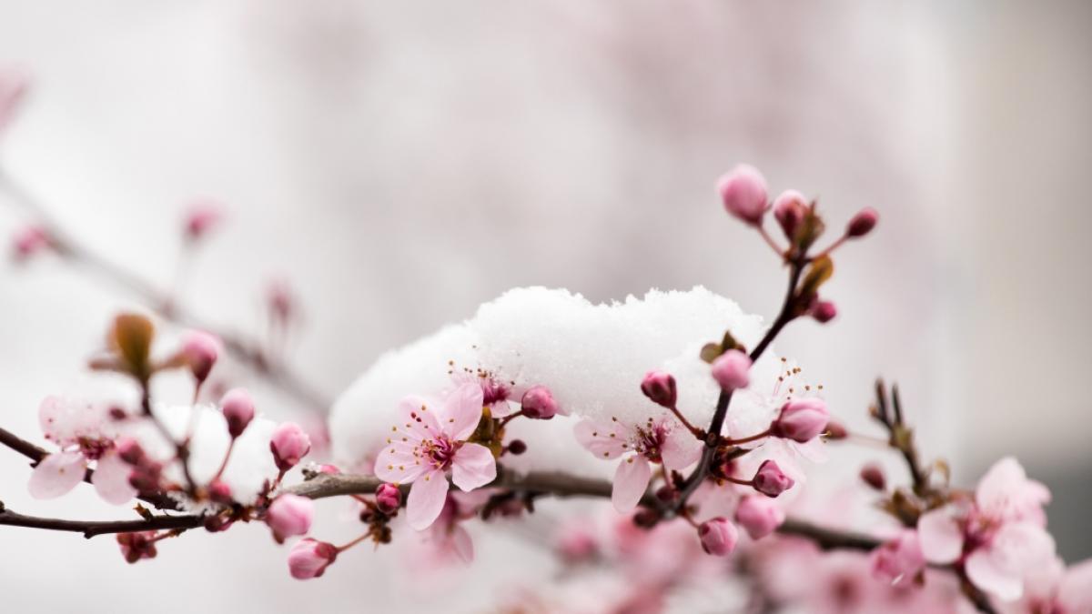 Drohen uns im April vier Kaltlufteinbr&uuml;che? (Foto)