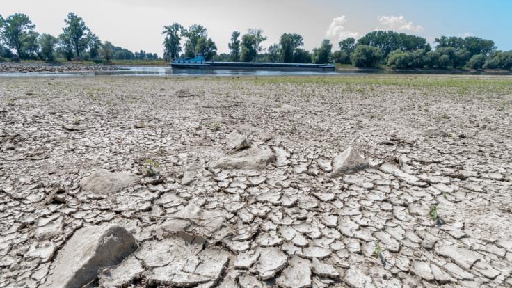 Durch die andauernde Hitzewelle führt die Donau derzeit Niedrigwasser.
