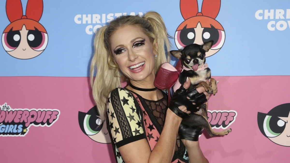 Auch Paris Hilton ist ein Fan von Christian Cowan, hier in einem Outfit aus seiner "Powerpuff Girls"-Kollektion. (Foto)