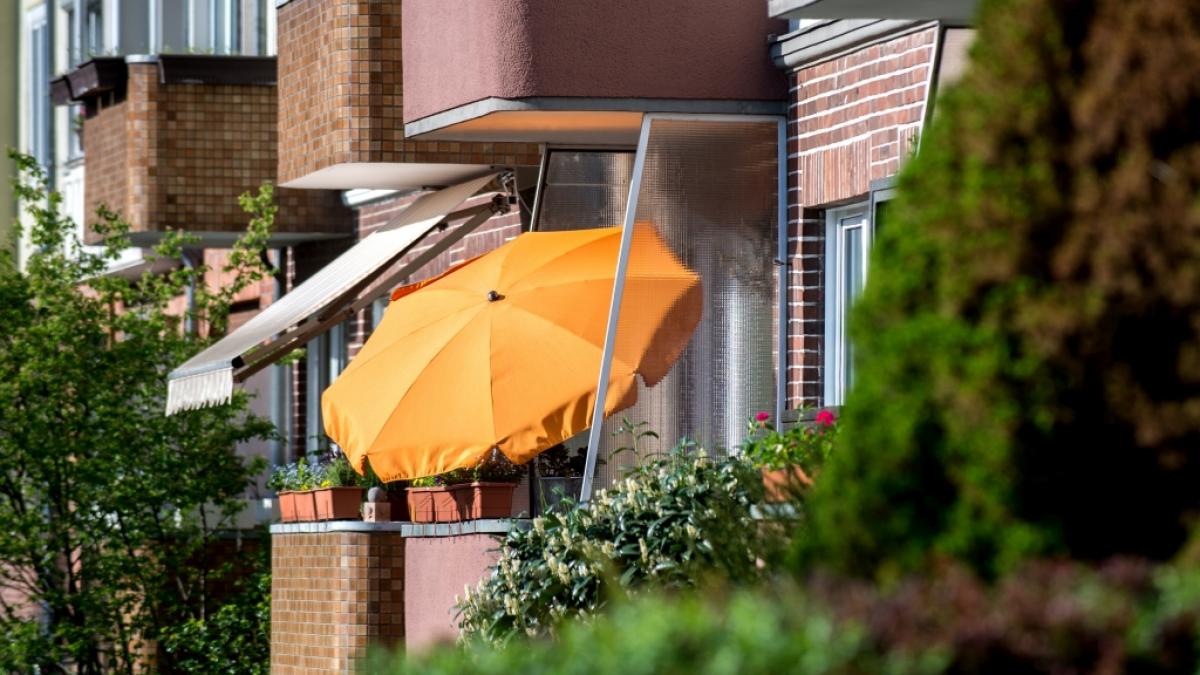 So sch&ouml;n manche Pflanzen auch sein m&ouml;gen: Auf dem Balkon haben sie nichts zu suchen. (Foto)