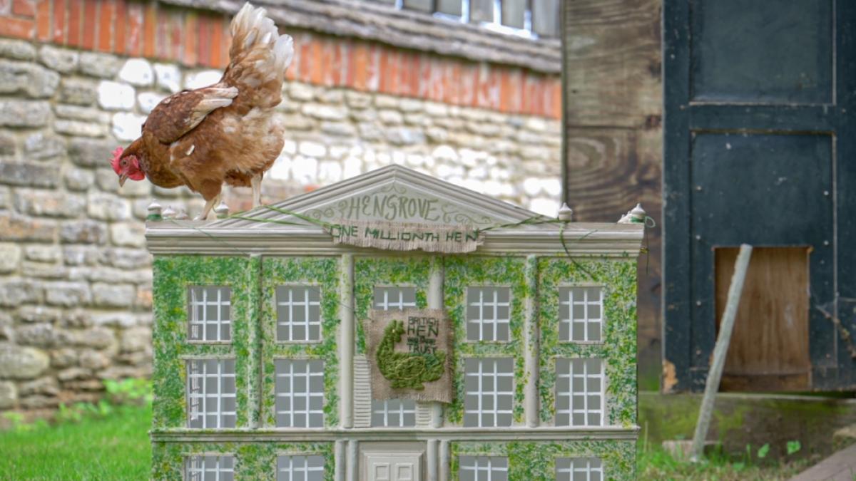 Legehenne "Henrietta" wird auf dem Landsitz Highgrove leben. (Foto)